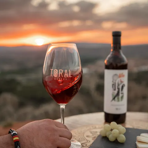🍷 Alma · Winery Visit & Tasting