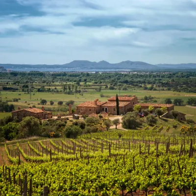 Celler Espelt