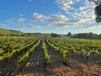 Vineyards, stunning views, and a tasting you’ll want to relive