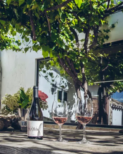 Bodega Pago de Tharsys