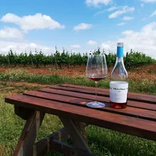 Tasting + cave lunch