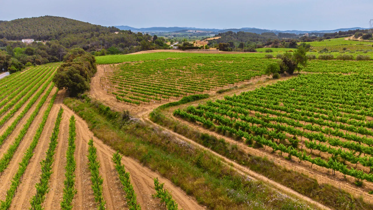 NEW WINERIES JOIN THE ENOLOVERS FAMILY!