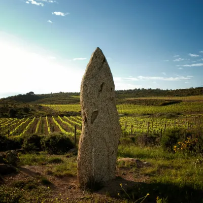 Celler Espelt