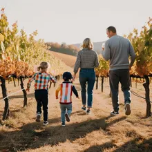 Let's Head to the Vineyard! With Snacks Included