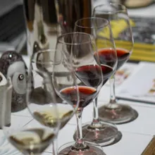 🍷 Guided Tour + Wine & Food Pairing