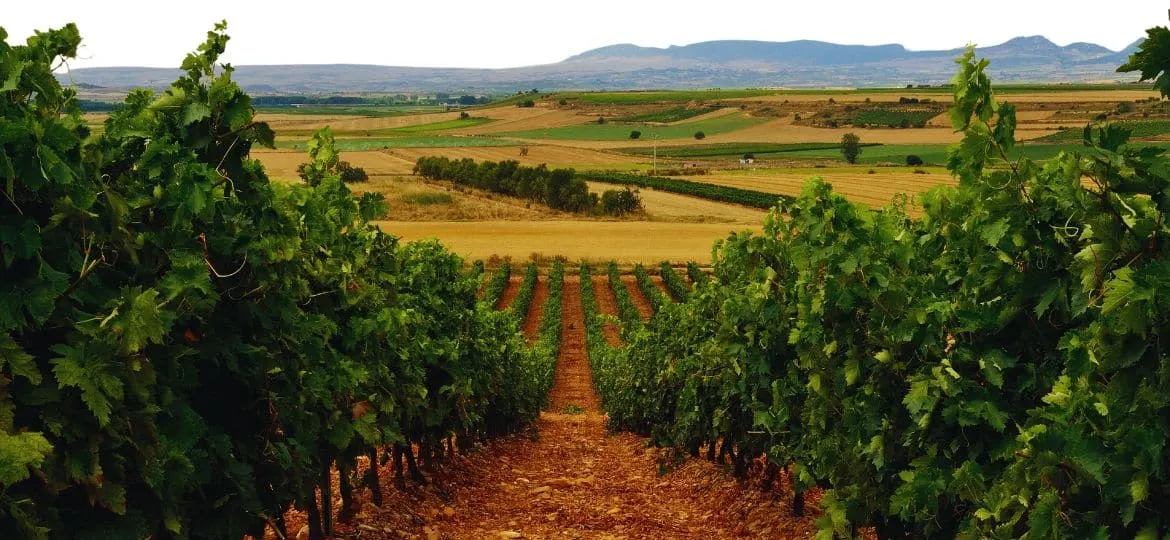 Enoturismo en La Rioja: