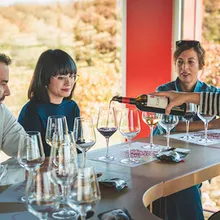 Express Wine Tasting Course