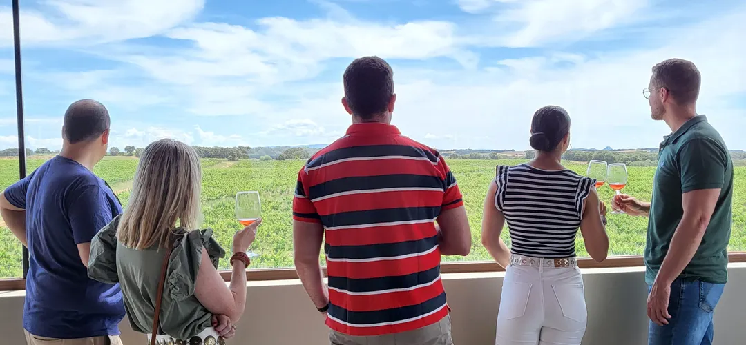 Basic guided tour and tasting of 3 wines