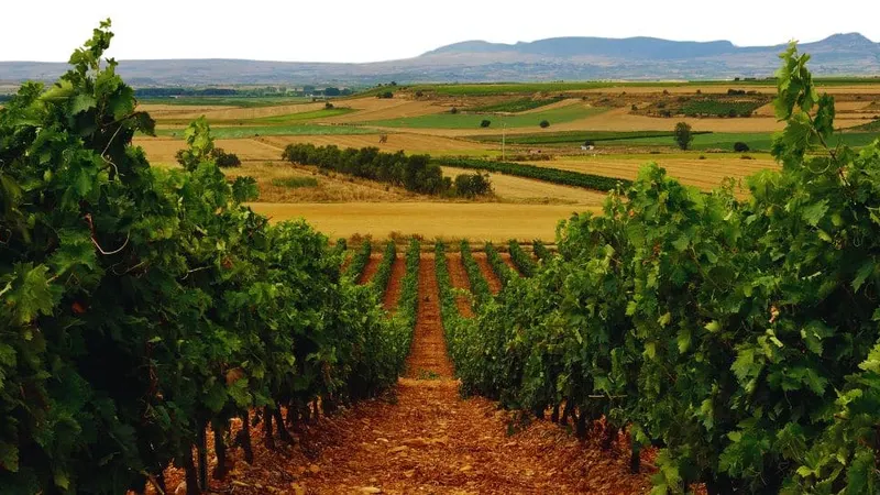 Enoturismo en La Rioja: