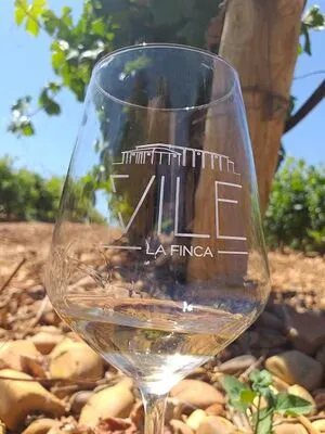 Vile La Finca – Winery & Vineyards.👉 Wine tourism season: from March 1st to November 30th, 2026