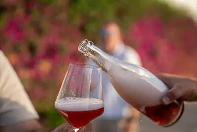 Wine Tasting with Lunch & Guided Tour
