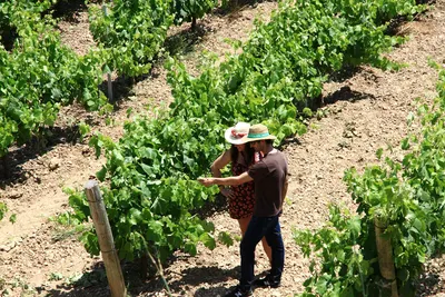 Bodega Miquel Jané