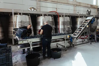 Bodegas Novos