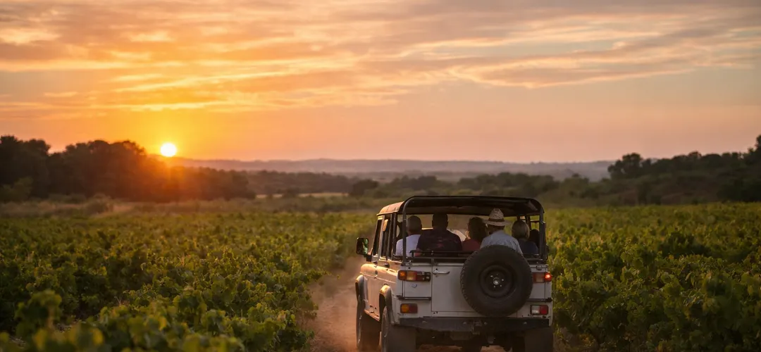 🚙4x4 vineyard tour & wine tasting