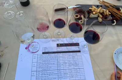 🍷Cata PREMIUM
