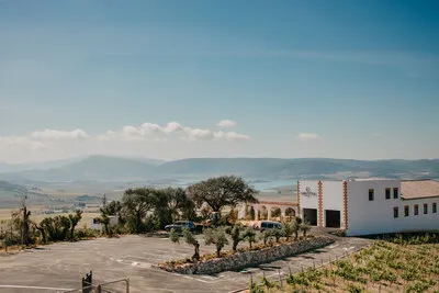 Bodegas Campestral