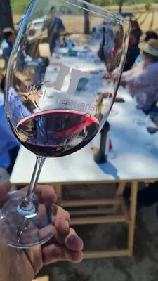 Vineyards, stunning views, and a tasting you’ll want to relive