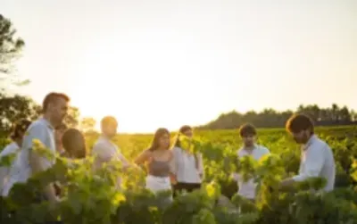 ⭐ The Penedès in a Full Day
