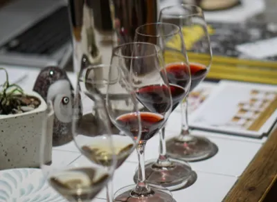 🍷 Guided Tour + Wine & Food Pairing