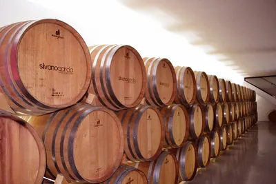 Bodegas Silvano García