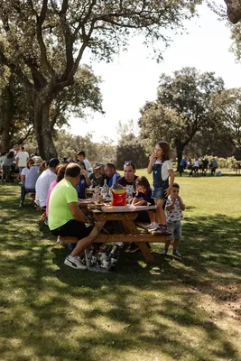 Picnic in the vineyard