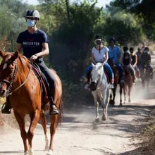 Visítanos y recorre Gredos a caballo