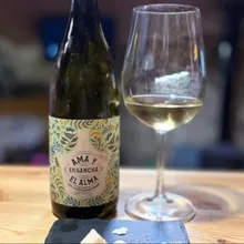 🍇 Garnacha Uncovered