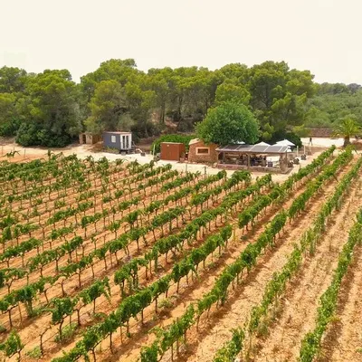 Bodegas Bordoy