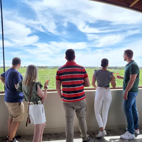 Basic guided tour and tasting of 3 wines