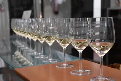 Wine in Every Sense