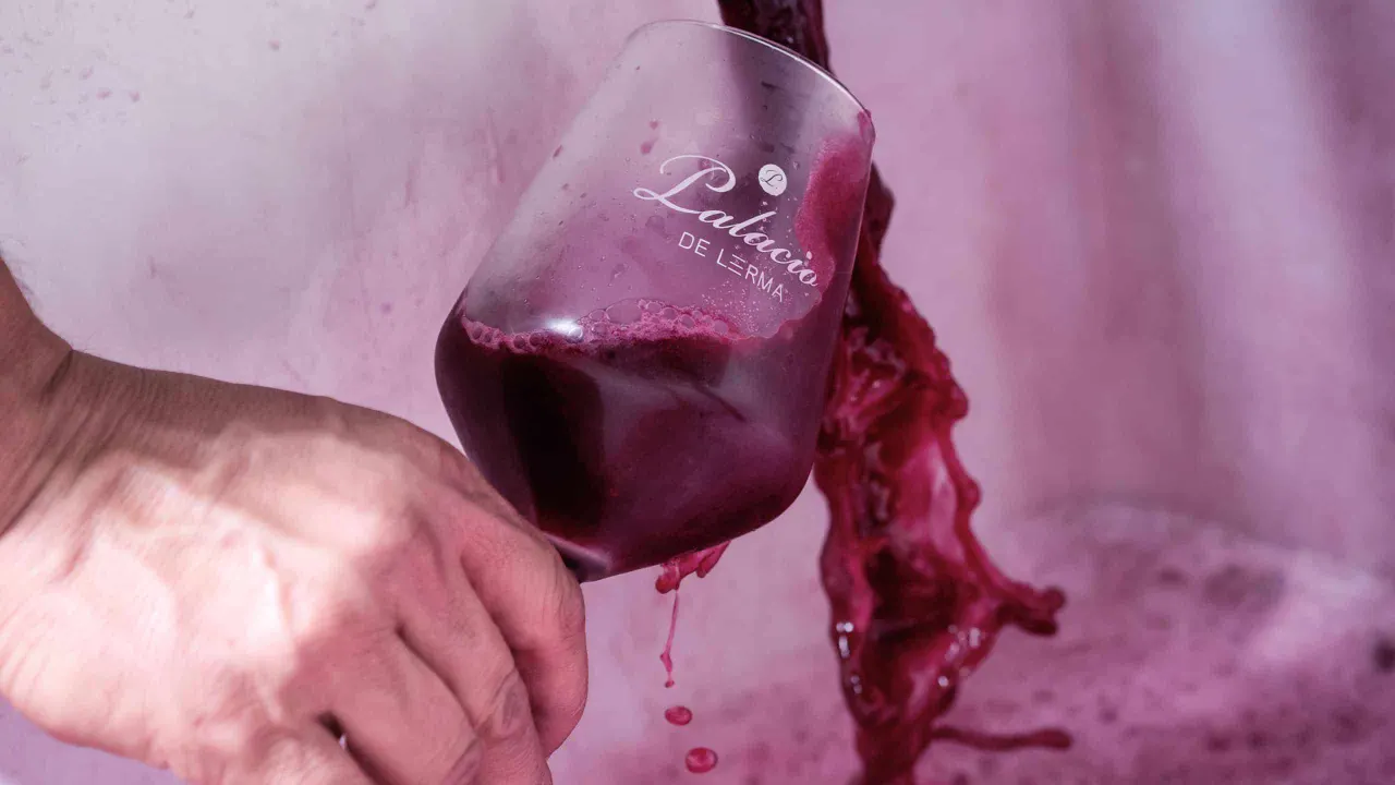 Viaje desde la Uva a la Botella