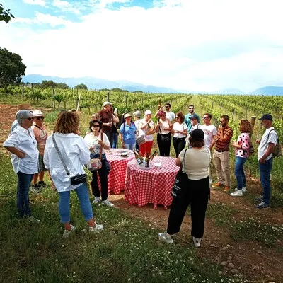 Bodega Idrias