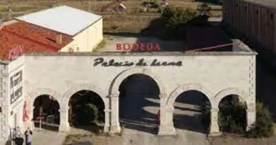 Visit to the winery and wine tasting