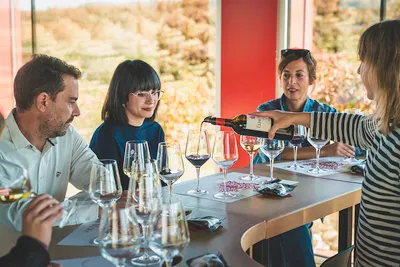 Express Wine Tasting Course