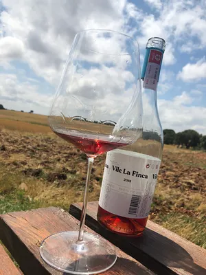 Vile La Finca – Winery & Vineyards.👉 Wine tourism season: from March 1st to November 30th, 2026