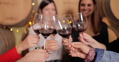 Tour + 4-wine tasting