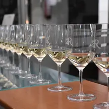 Wine in Every Sense