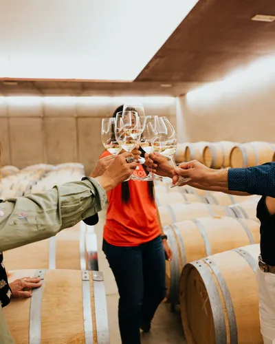 Main Wines