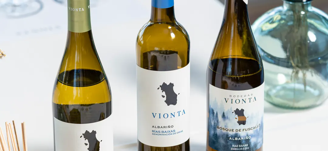 Bodegas Vionta