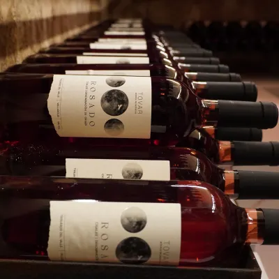Tovar, bodega de bodegas
