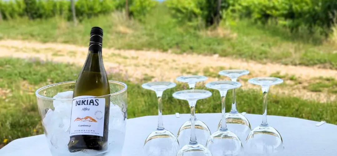 Bodega Idrias