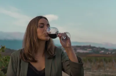  Visit and tasting of 3 wines