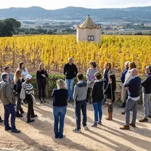 Top Wines