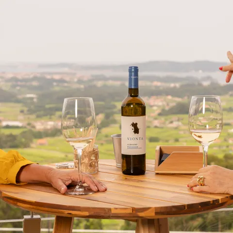 Bodegas Vionta
