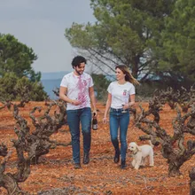 Vega Tolosa: The Wine of La Manchuela, Like You've Never Experienced Before