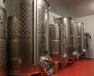 Vineyards, stunning views, and a tasting you’ll want to relive