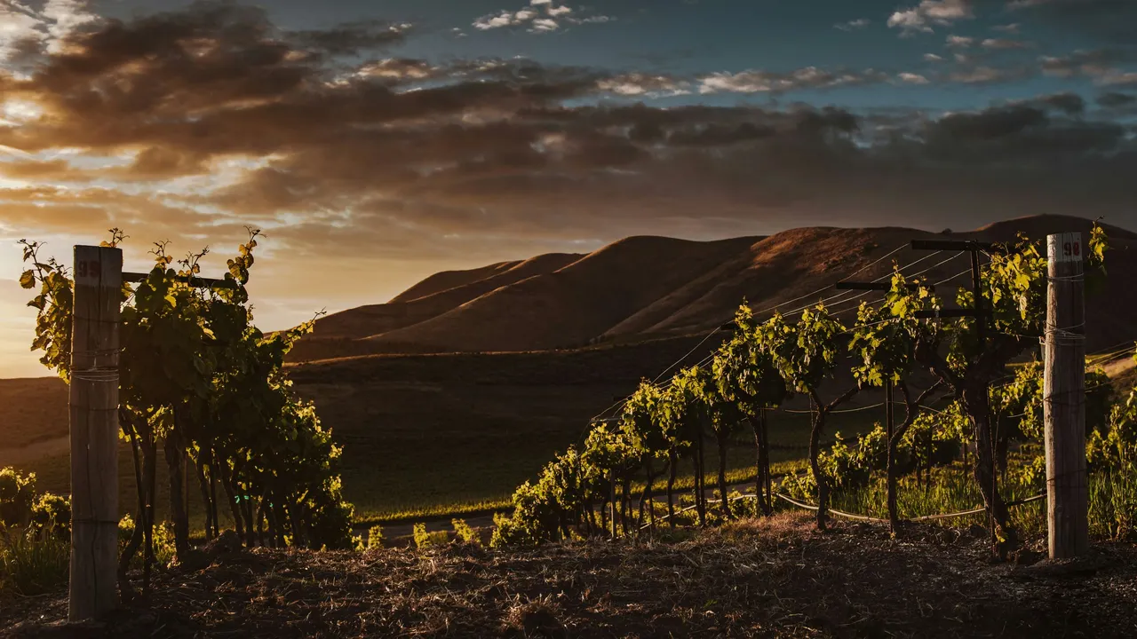 Enolovers por el mundo: California