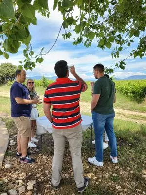 Guided tour with local food pairing (Km 0)