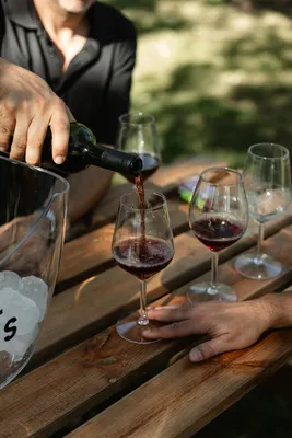 Picnic in the vineyard