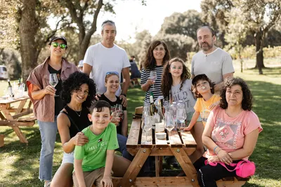 Picnic in the vineyard